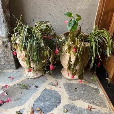 Pair of Eschbach Planters (P-MG)