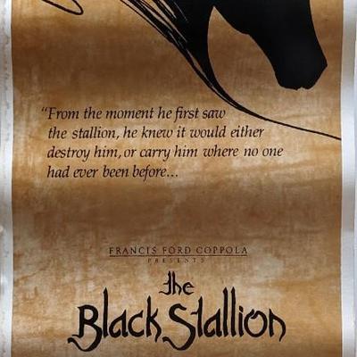 The Black Stallion insert card