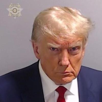 Donald Trump mugshot photo reprint