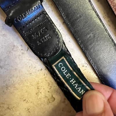 Coach Cowhide Belts, Lizard & Caiman Belts Plus More (PB-RG)