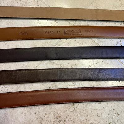 Coach Cowhide Belts, Lizard & Caiman Belts Plus More (PB-RG)