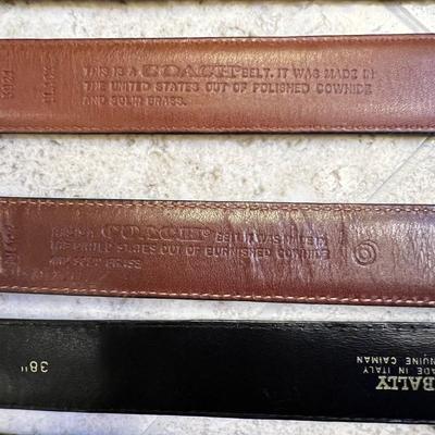 Coach Cowhide Belts, Lizard & Caiman Belts Plus More (PB-RG)