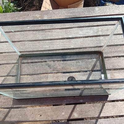 Ten Gallon glass aquarium