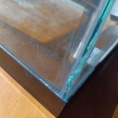 Ten Gallon glass aquarium