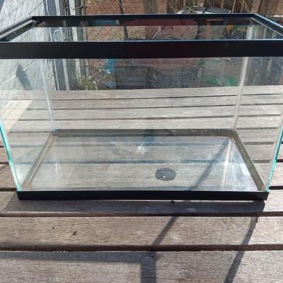 Ten Gallon glass aquarium