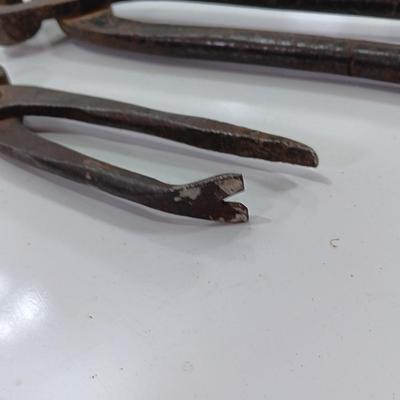 Blacksmithing Ferrier clipper nipper tools
