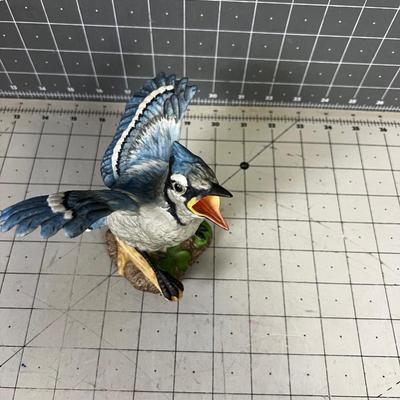 Marked Fledgling Blue Jay  Porcelain 