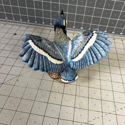 Marked Fledgling Blue Jay  Porcelain 