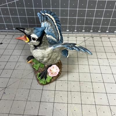 Marked Fledgling Blue Jay  Porcelain 