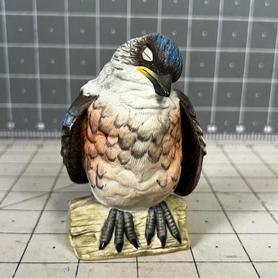 Fledgling Blue BIRD 