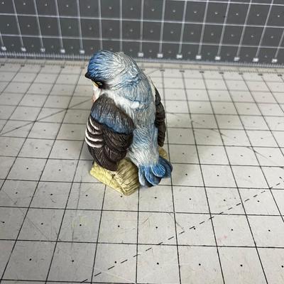 Fledgling Blue BIRD 