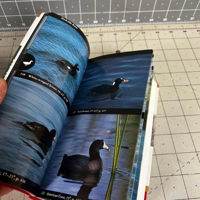National Audubon Society Field Guides BIRDS & INSECTS 