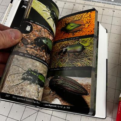 National Audubon Society Field Guides BIRDS & INSECTS 