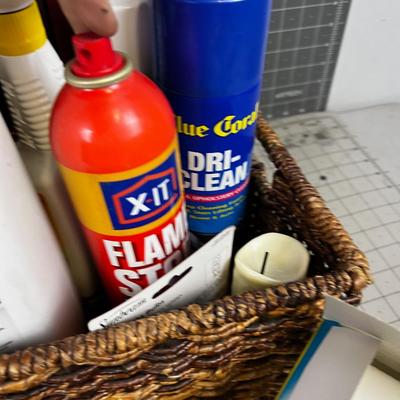 Box of Odd Cleaning Supplies 