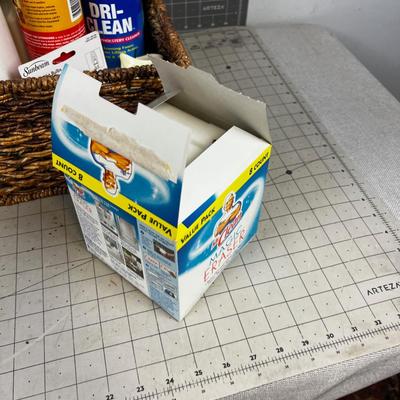 Box of Odd Cleaning Supplies 