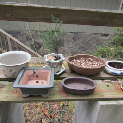 Assortment of Ceramic and Terracotta Plant Pots and Trays