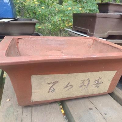 Assortment of Bonsai and Plant Trays and Pots