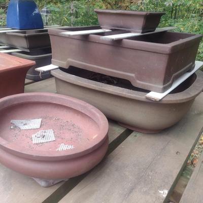 Assortment of Bonsai and Plant Trays and Pots