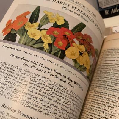 1920s/30s Flower/Vegetable Seed Catalogs