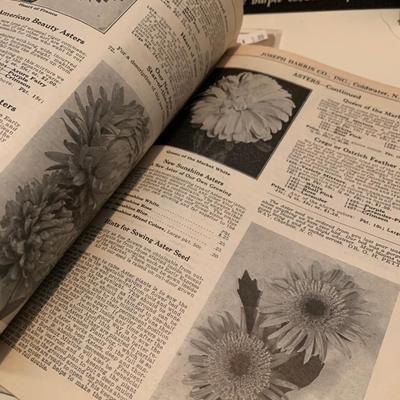 1920s/30s Flower/Vegetable Seed Catalogs