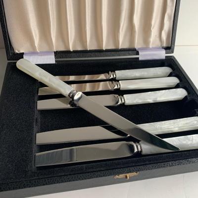 Vintage Sheffield Mother of Pearl Handled Knife Set In Case