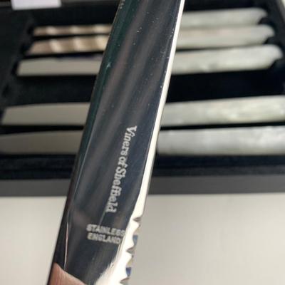 Vintage Sheffield Mother of Pearl Handled Knife Set In Case