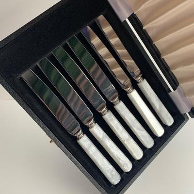 Vintage Sheffield Mother of Pearl Handled Knife Set In Case