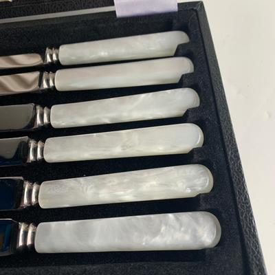 Vintage Sheffield Mother of Pearl Handled Knife Set In Case