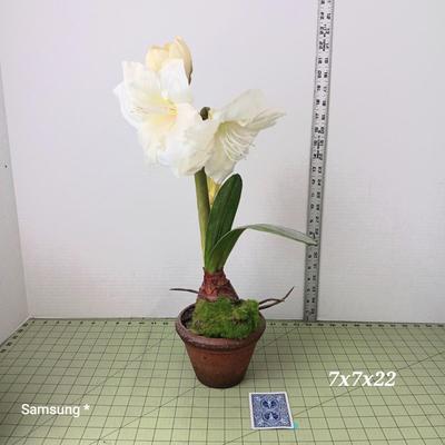 Artificial Amaryllis with Pot