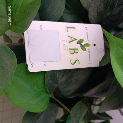 Artificial Plant