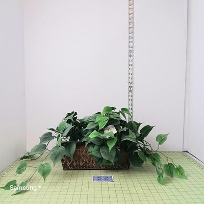 Artificial Plant
