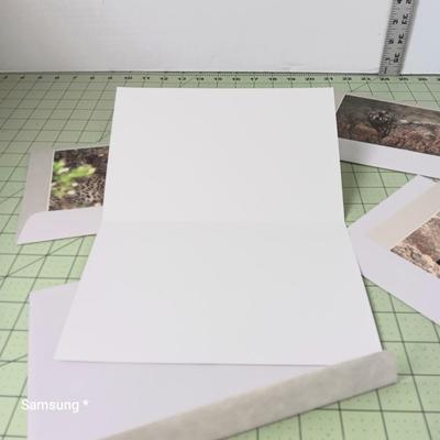 Animal Cards 