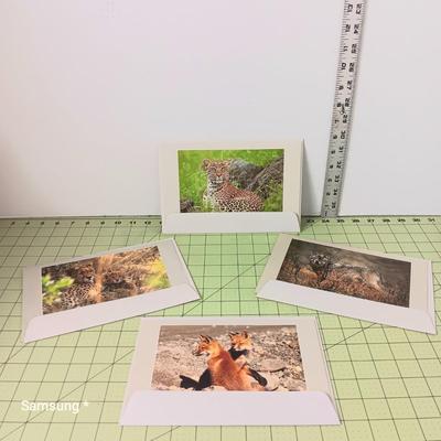 Animal Cards 