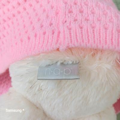 Teddy Bear with Pink Sweater