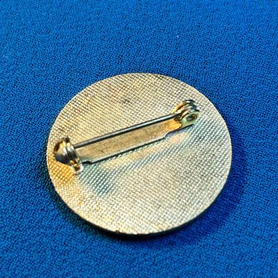 CLOISONNE ENAMELED PIN- HOF WINTER CARNIVAL "I SKIED HISTORIC 25TH ST."