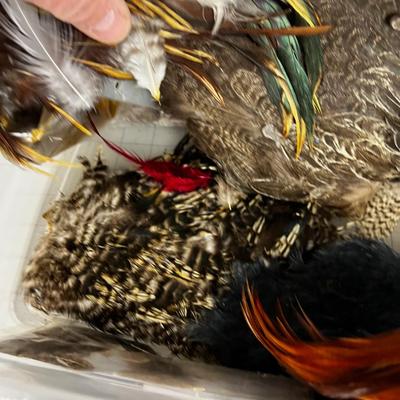 Another Tub of Feathers, Mostly Natural Colors