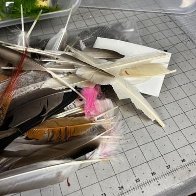 Feathers COLORFUL- Green Brown, White, 