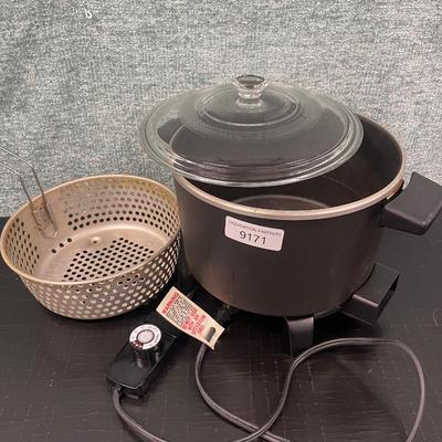 Electric Fryer