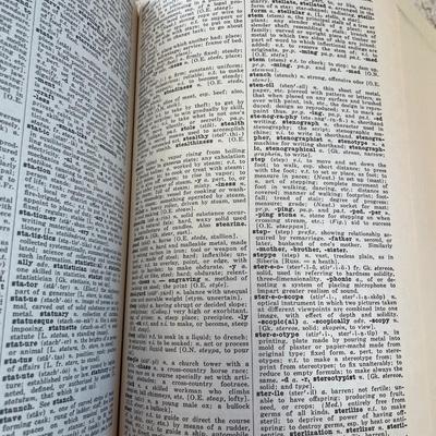 Webster dictionary