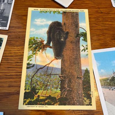 Vintage post cards & other