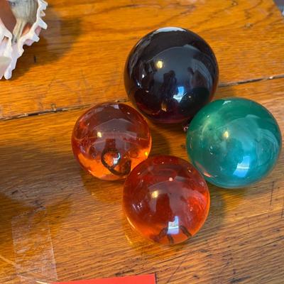 Beautiful & unique Shell collection