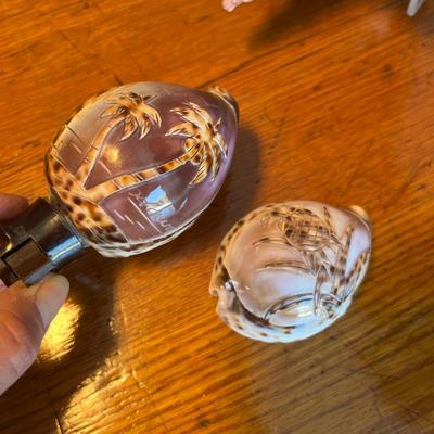 Beautiful & unique Shell collection