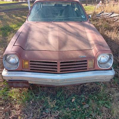 Field find!! 1974 Chevrolet Vega