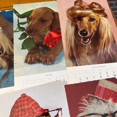 Dog Post cards Calendars