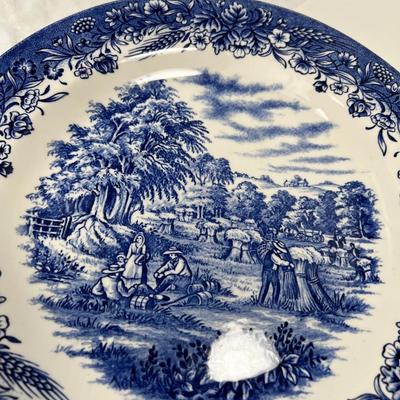 Blue and white plate collection