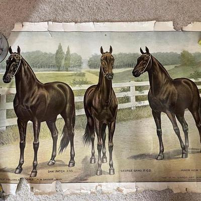 3 posters, suitable for framing