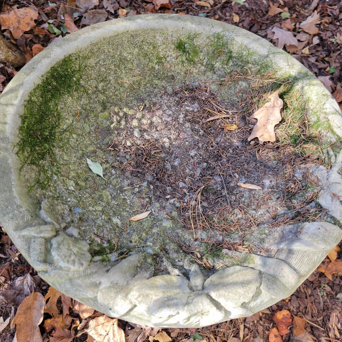 Cement Bird Bath (BYDW)