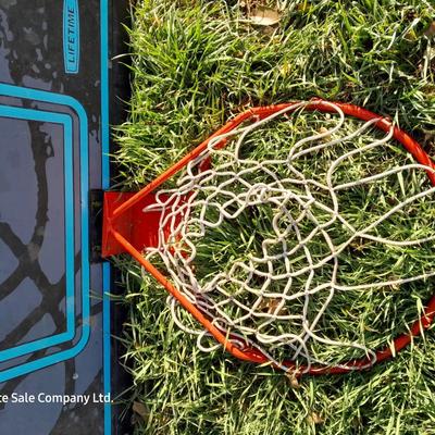Lifetime Basketball backboard and metal hoop