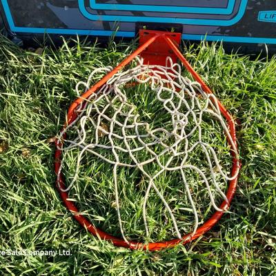 Lifetime Basketball backboard and metal hoop