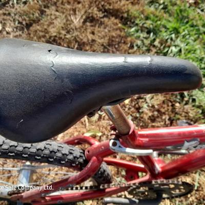 Boy's Magna Bicycle for parts or repair - Needs tires